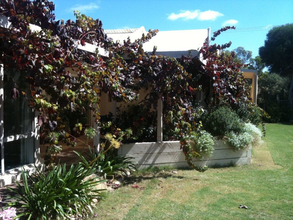 Bellevue Bed & Breakfast Mclaren Vale Εξωτερικό φωτογραφία