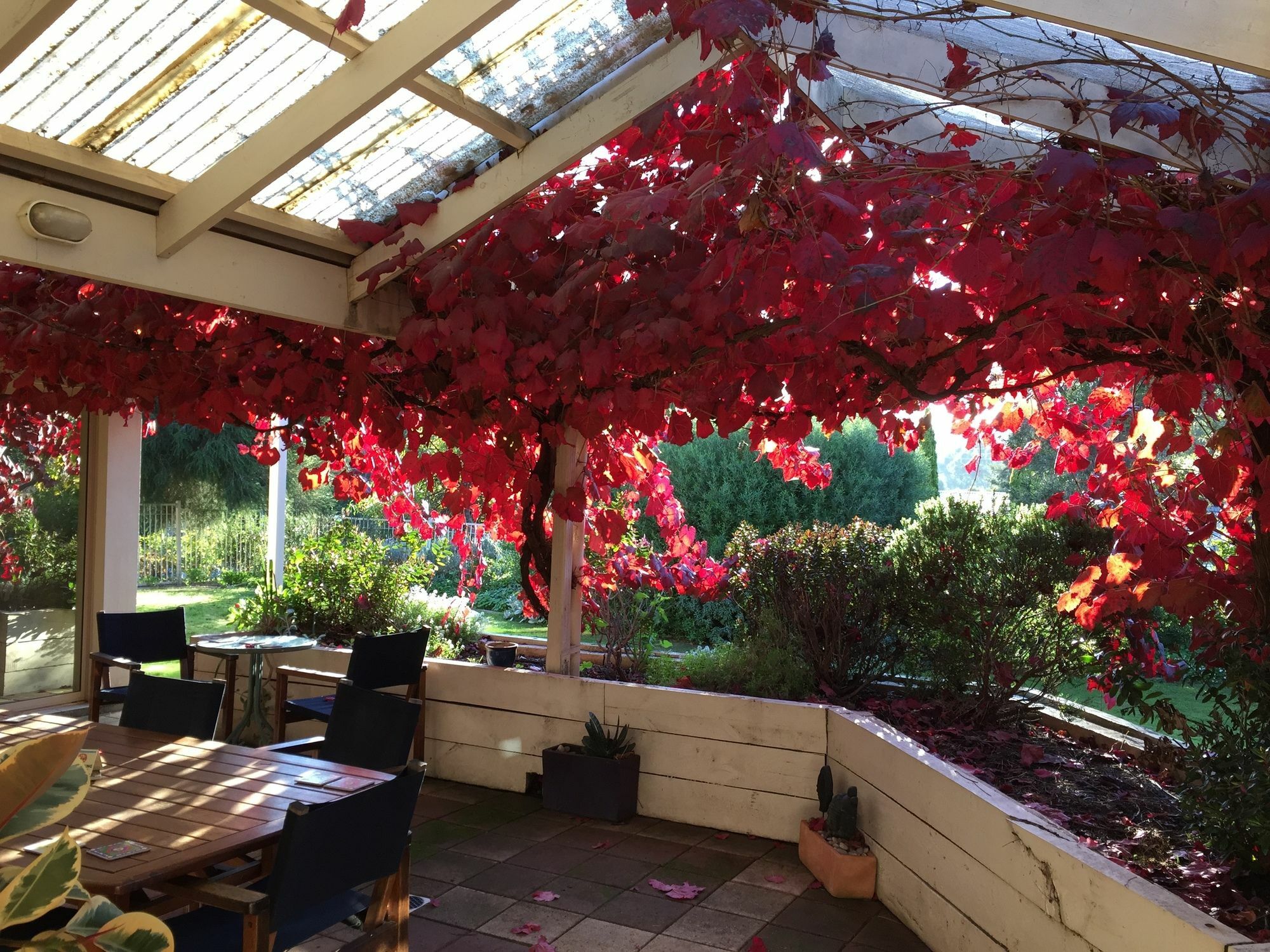 Bellevue Bed & Breakfast Mclaren Vale Εξωτερικό φωτογραφία